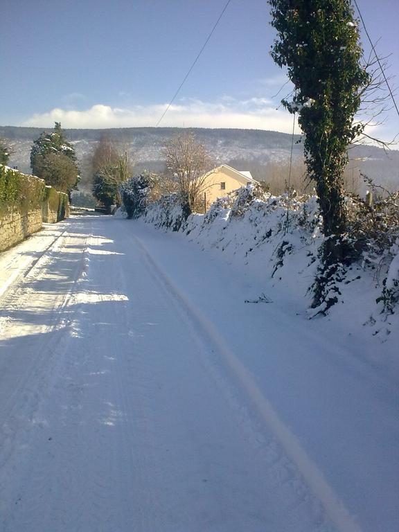 Macreddin Rock Bed & Breakfast Aughrim Exterior foto